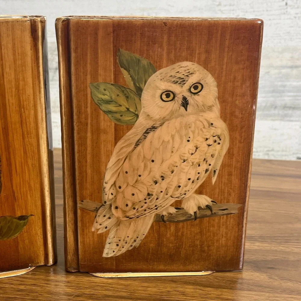 Vintage‎ snowy Owl Barn Owl Handmade Wooden Shellac Book Ends